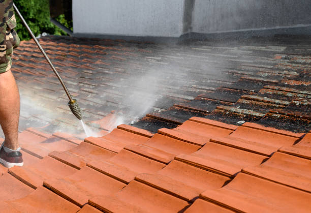 Best Affordable Pressure Washing  in Ellsworth, WI