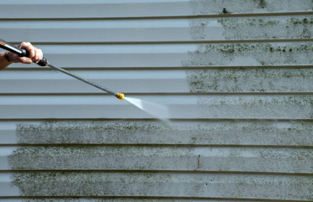 Best Deck Cleaning Services  in Ellsworth, WI