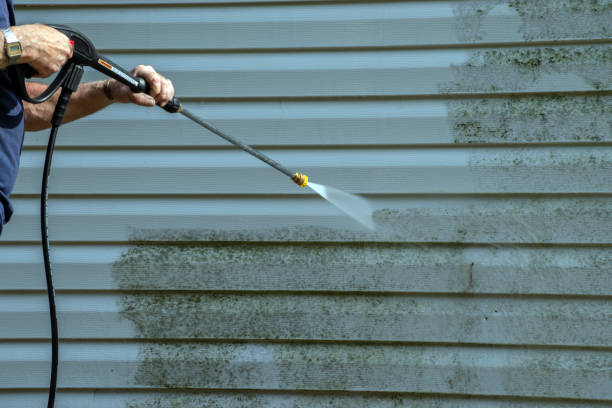 Best Roof Pressure Washing  in Ellsworth, WI