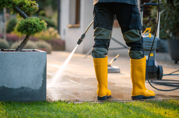 Best Exterior Home Cleaning  in Ellsworth, WI
